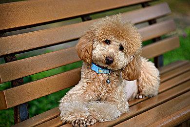 《最终幻想7：重生》将拥有更多服装选择 比前作多